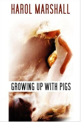 Book
              cover pic